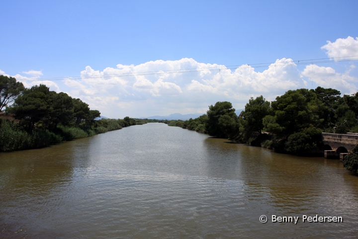 Parque natural de s'Albufera 2.jpg - Parque natural de s'Albufera